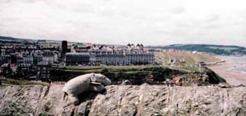 Whitby
